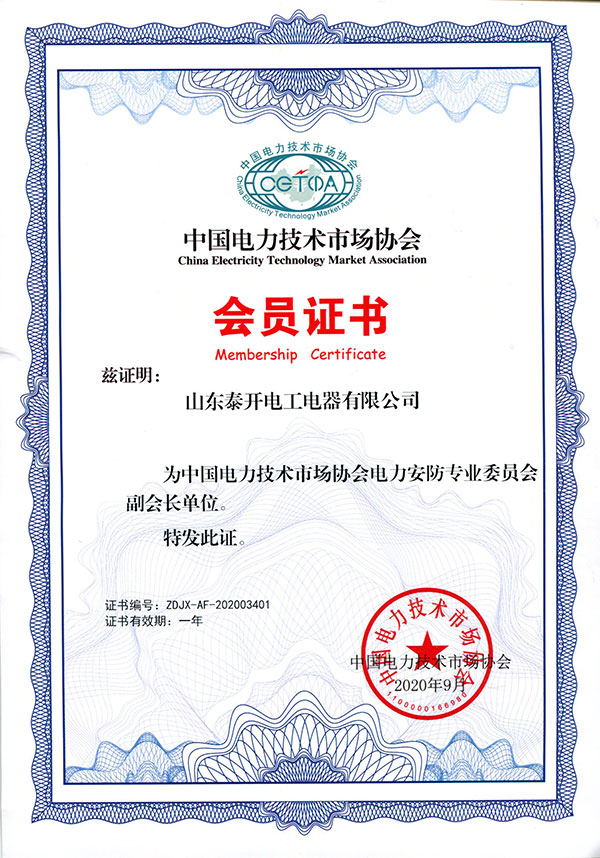 中国电力技术市场协会会员证书